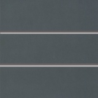 Экономпанель 1200х2400 Графит